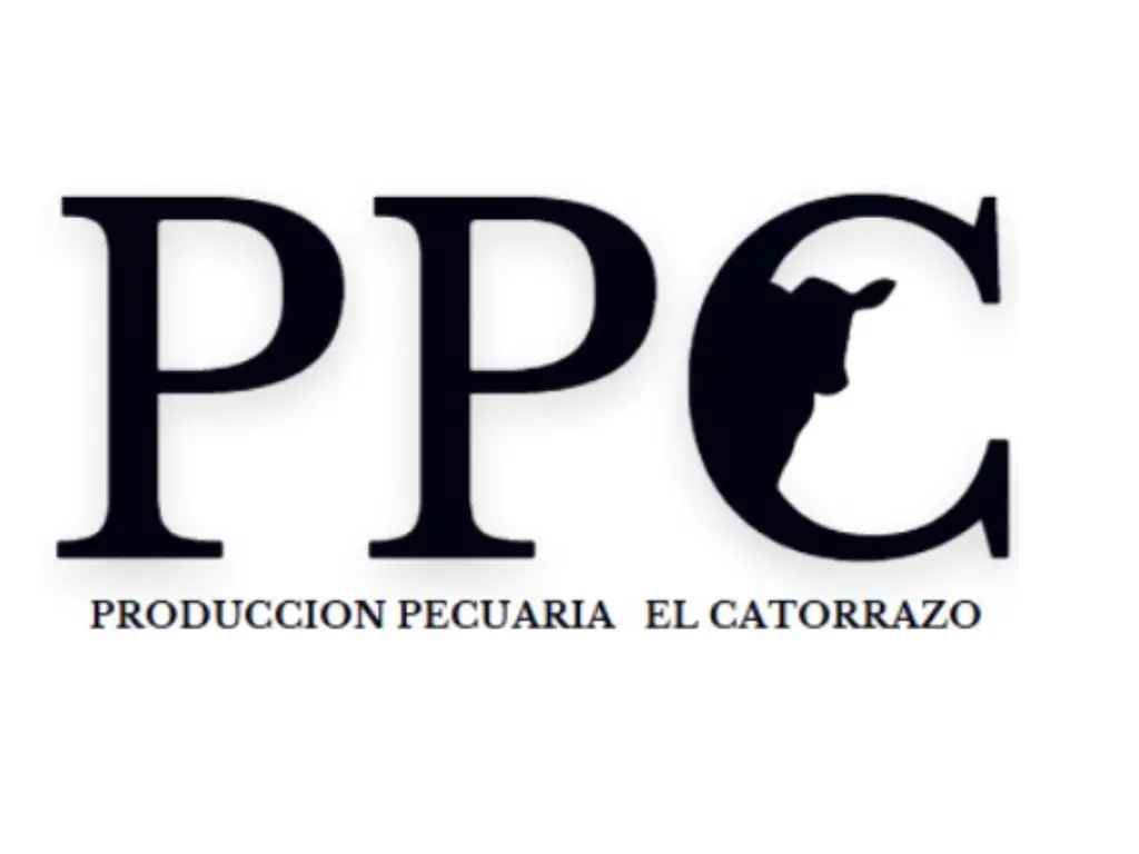 Logo PPC